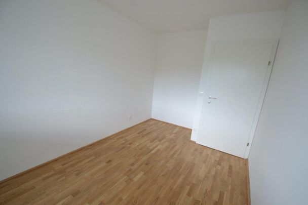 Annenviertel – 41 m² – 2 Zimmer-Wohnung – Studenten oder Singlewohnung - Foto 1