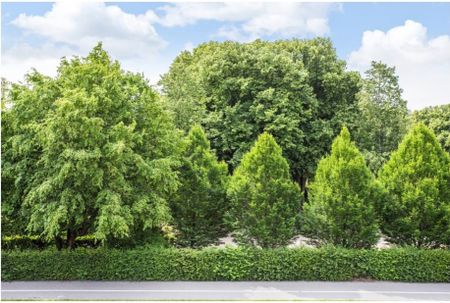 Filippavägen, Lund - Foto 5