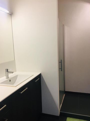 2 slaapkamer appartement in het hartje van Antwerpen! - Foto 2