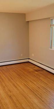 Large Bright Renovated 1 bedroom - Photo 1