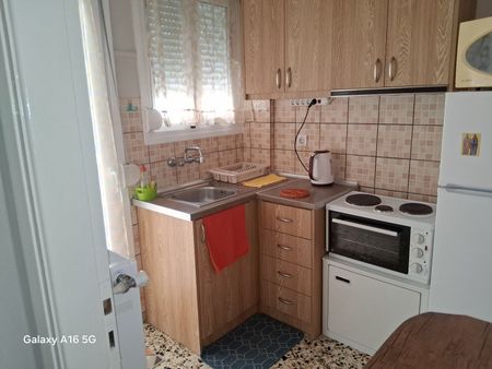 Studio/Γκαρσονιέρα για ενοικίαση Άγιος Κωνσταντίνος - Άγιος Ελευθέριος (Λάρισα) - Φωτογραφία 3