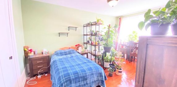 Très Grand appartement à louer Anjou - Photo 2
