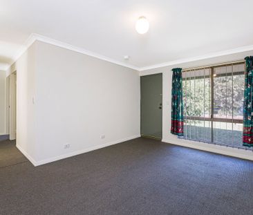 Neat and Tidy 3 X 1 - Photo 1