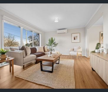 Lifestyle Location! - Photo 5