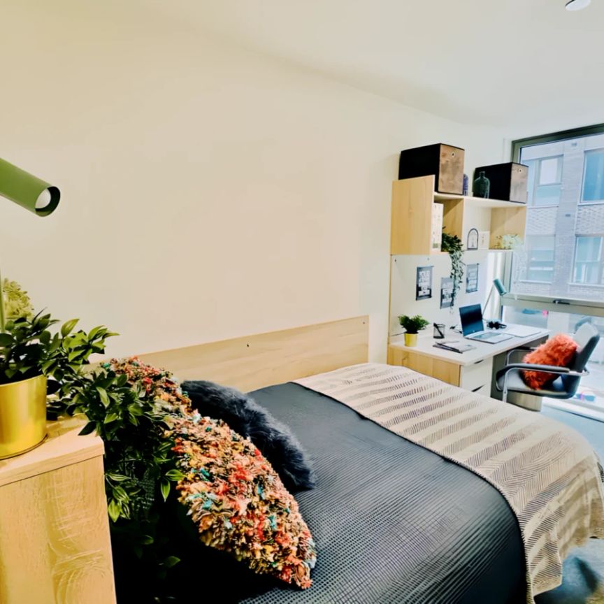 Silver Ensuite - High Floor - Photo 1