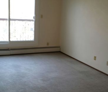 Apartment in walking distance of the New Rogers Place. - Photo 3