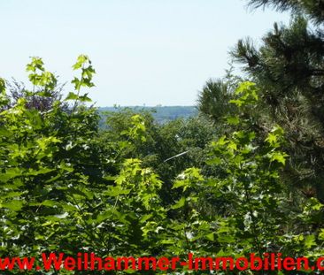 Sonniger Balkon mit heller Wohnung - Photo 4