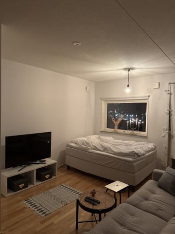 Ostindiefararen, Göteborg - Foto 5