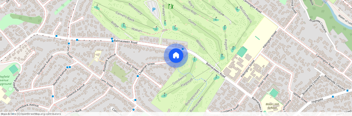 160 Chapman Street, Wakari, Dunedin City