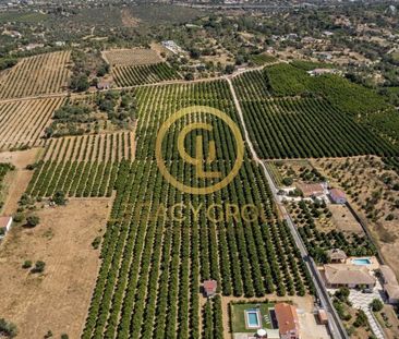 Moradia T3 em Faro - Photo 2