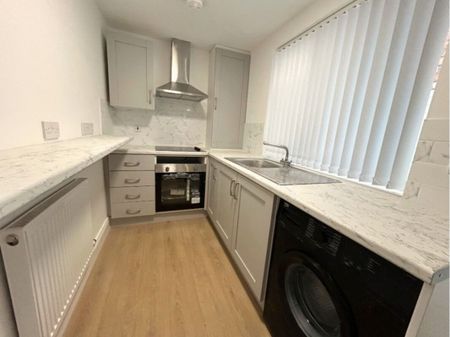 12 Melrose Street, Belfast BT9 7DN - Photo 5