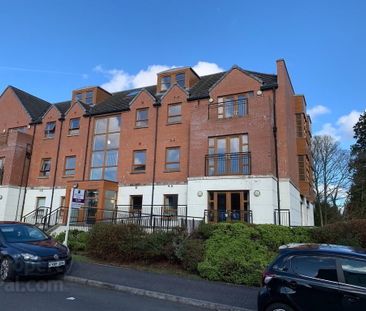 40 Sequoia Building, 1 Redwood Grove, Dunmurry, BT17, Belfast - Photo 6