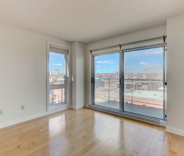 Appartement à louer, Montréal (Ville-Marie) - Photo 5