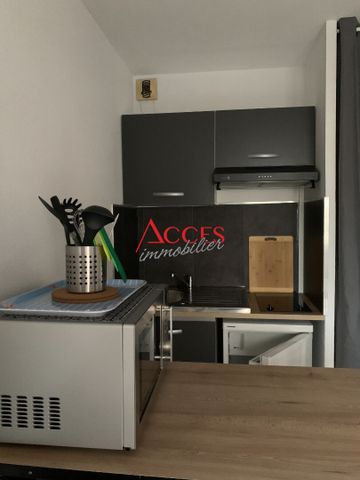 Location Appartement 1 pièce 19m² - Photo 3