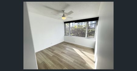 Absolute Beachfront Position | Spacious Renovated Apartment in Oceania - $1195pw - Photo 3