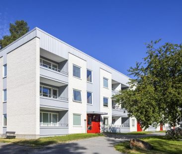 Dirigentvägen, Skellefteå - Foto 5