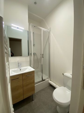 Location Appartement 1 pièce 13m² LYON 3ème - Photo 4