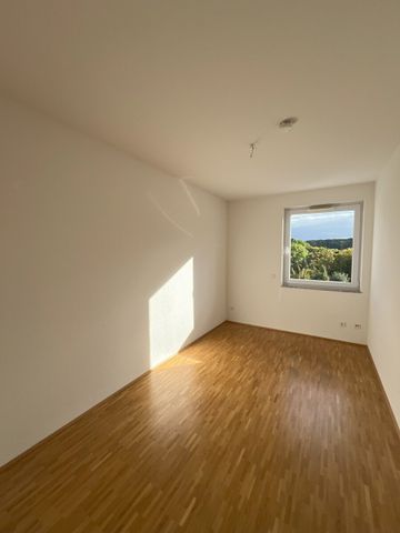 4 Zimmer Penthouse mit sonniger Dachterrasse! - Photo 5