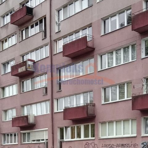 Jasne Błonia, Szczecin - Фото 1