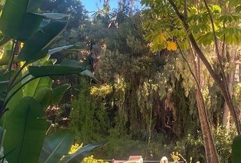2 bedroom luxury Flat for rent in Benahavís, Andalusia