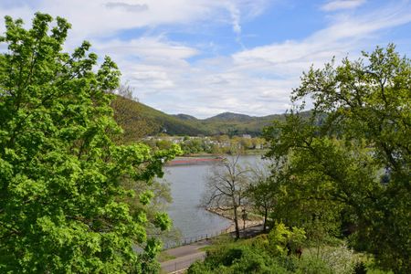 Zur Miete: Panoramablick und Rheinromantik - 3 Zimmer-Luxuswohnung in erster Rheinlinie in den Rheinblick-Residences - Foto 3