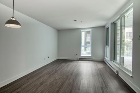 9675 Av. Papineau - Photo 3