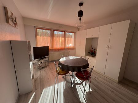 Location Appartement 2 pièces 53m² STRASBOURG 67100 - Photo 3