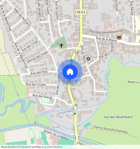 BAS-RHIN (67), - GRAND-EST, WOLFISHEIM (67202)