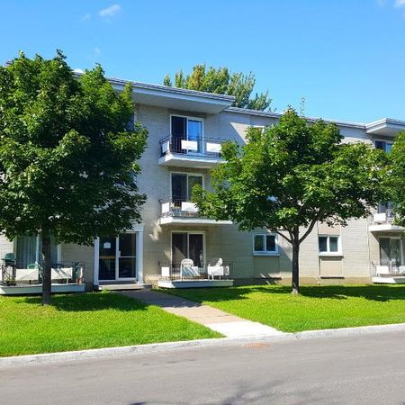 Grand 4 1/2 entièrement rénové pour février - Photo 3