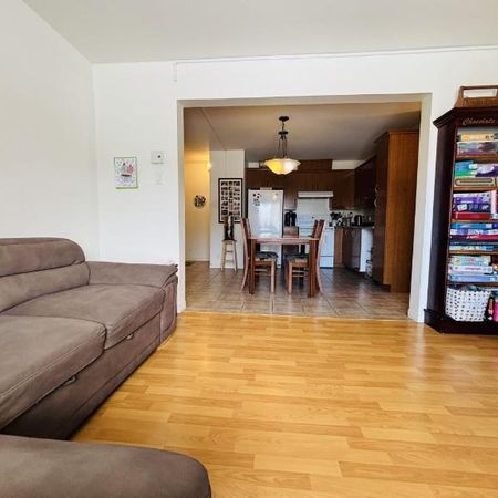 Appartement 4 ½ à louer Lévis mai 2026 - Photo 3