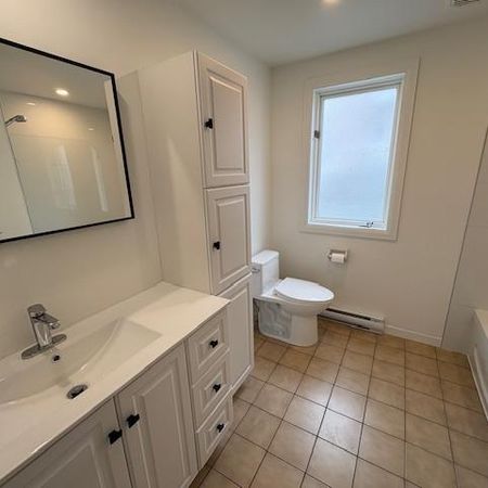 GRAND 4 1/2 RÉNOVÉ - 1 MOIS GRATUIT - DISPO 1er MAI - REZ-DE-CHAUSSÉE - FACE À UN PARC - Photo 3