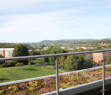 Nackstavägen 20 C - Photo 4