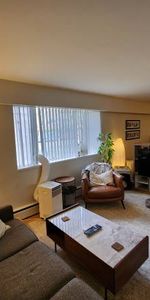 Pet Friendly Spacious Bright 1 bedroom available Nov 1! - Photo 4