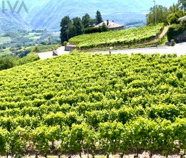 Ensoleillé avec une jolie vue sans vis-à-vis - Photo 4