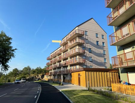 Kryddvägen, Angered - Photo 4