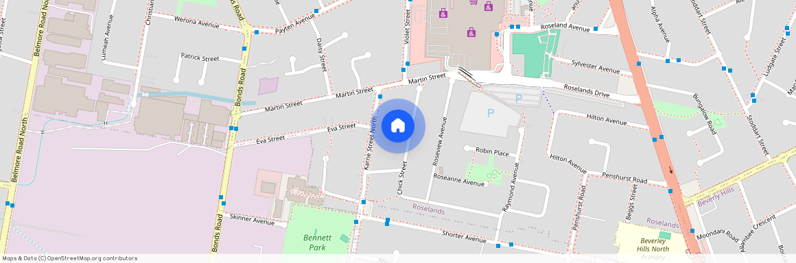 11 Chick Street, NSW 2196, Roselands