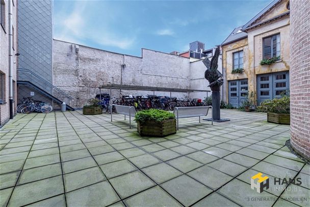 Studentenstudio (20 m²) met eigen keuken en badkamer op de studentenlocatie op TOPlocatie in Antwerpen. - Foto 1