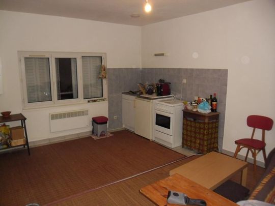 Location Appartement 1 pièce 18m² SOUCIEU EN JARREST 69510 - Photo 1