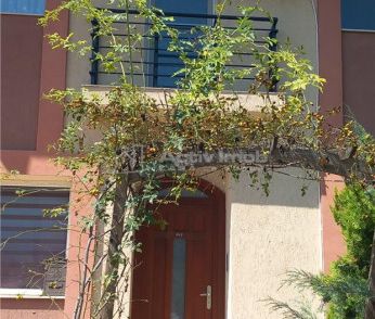 Vila Straulesti Coralilor- Petrom City - Fotografie 4