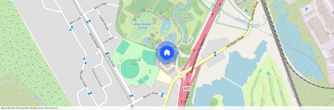 39 Kestrel Circuit, Shortland 2307, New South Wales