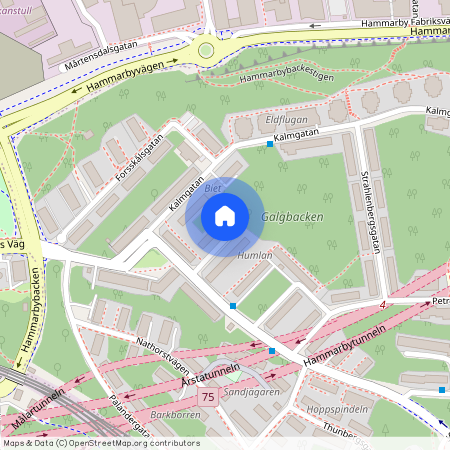 Åkerbladsgatan 9, Johanneshov