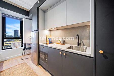 Panoramic Double Studio (33-38) - Photo 3