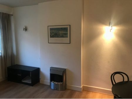 Room in a Shared Flat, Hamlet Gardens, W6 - Photo 4
