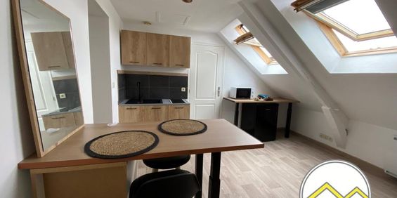Location Appartement 2 pièces Meublé 27m² CHATEAUBRIANT 44110 - Photo 3