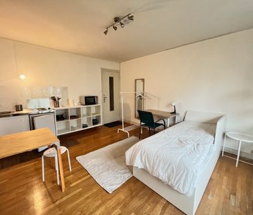 Location Appartement 1 pièce 26m² GRENOBLE 38000 - Photo 4