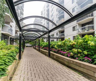 Rue Simpson, H3G 2J5, Montréal - Photo 4