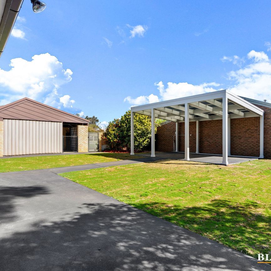 6 Tipper Place, Cook ACT 2614 - House For Rent | Domain - Photo 1