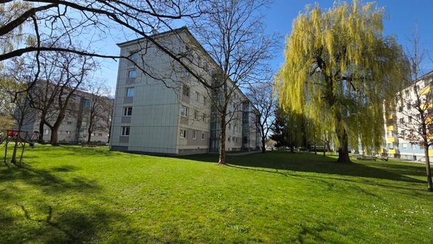 Gut geschnittene 2-Zimmer-Wohnung nähe JKU/Urfahr - Photo 1