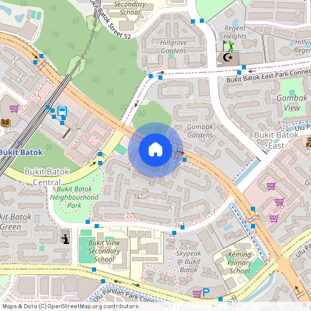 228 Bukit Batok Central (650228), Singapore