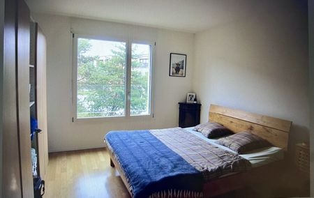 31/2-ROOM APARTMENT IN ALLSCHWIL (BL), FURNISHED, TEMPORARY - Photo 3